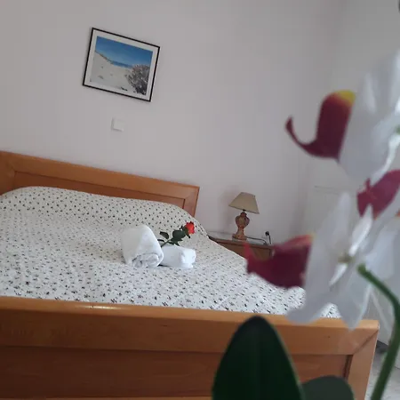 Posidonia Apart-hotel 3*